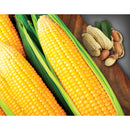 Pufuleti Bio cu arahide Gusto - Delumani - Magazin Romanesc 